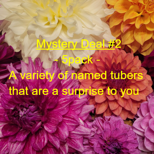Mystery Tubers - deal #1 - 5 pack