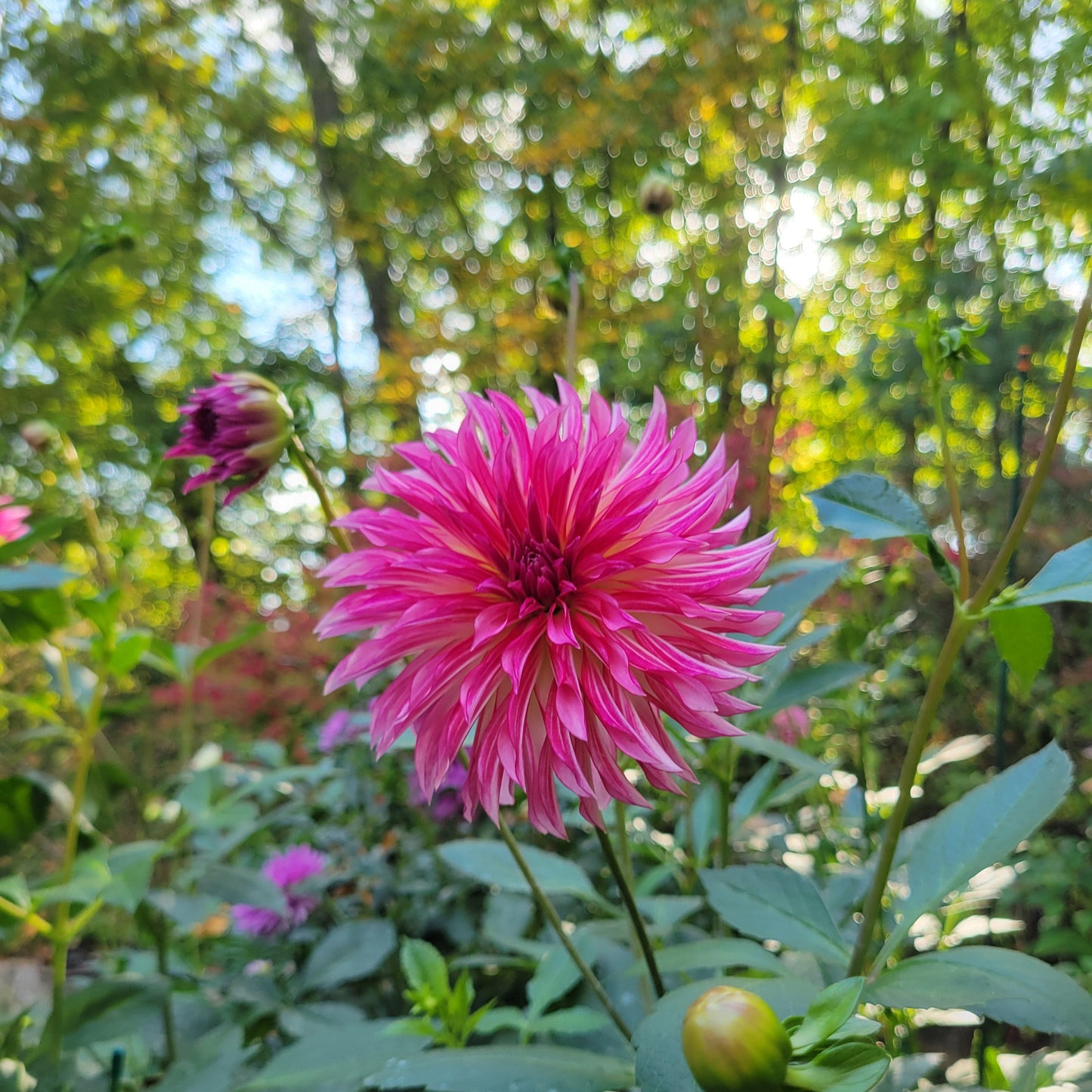 River's Watermelon - see comment