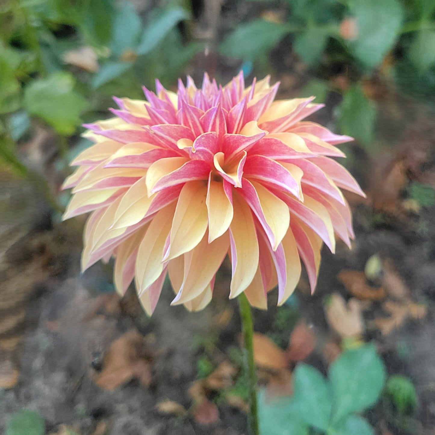 River's Elizabeth