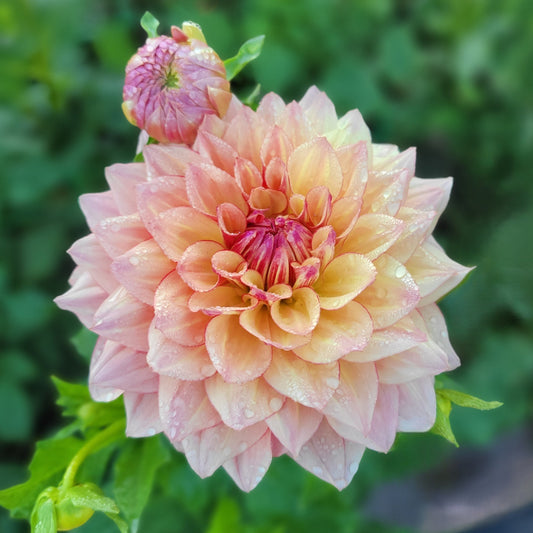Tuscany