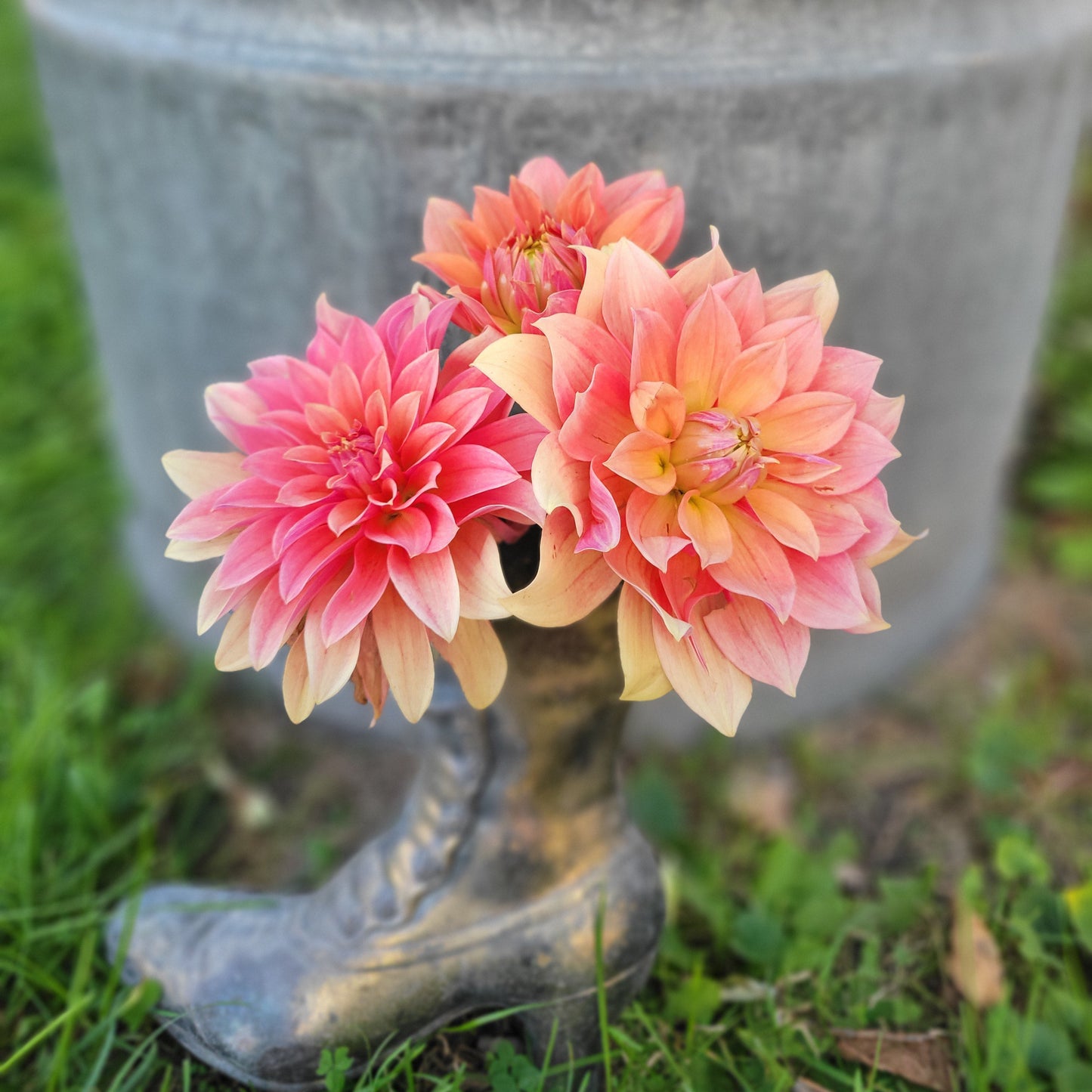 Salish October Wedding