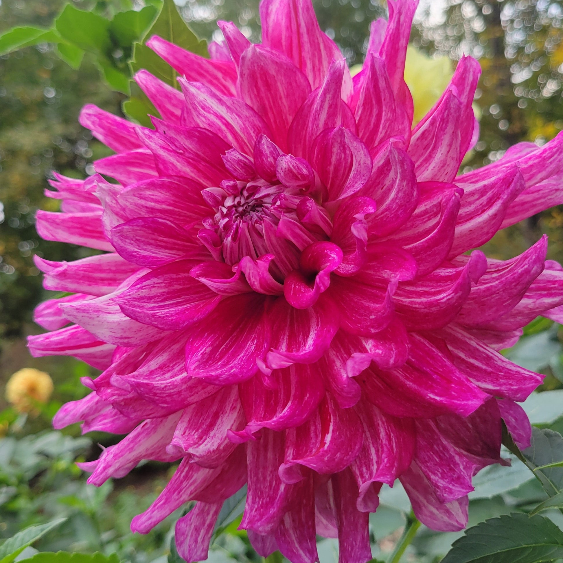 2024