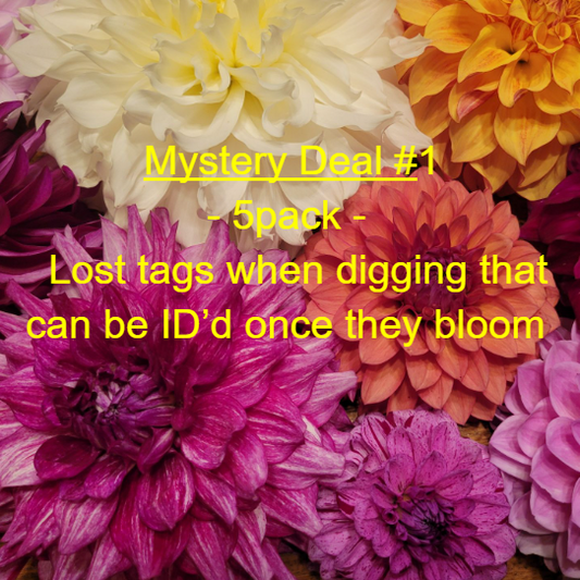 Mystery Tubers - deal #2 - 5 pack